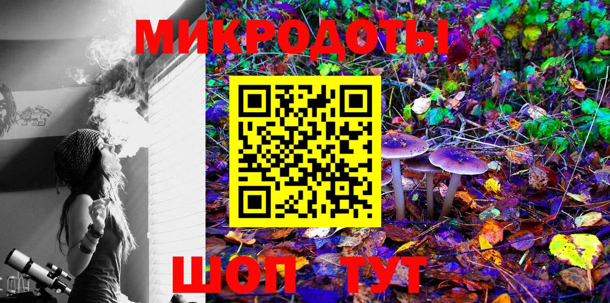 Псилоцибиновые грибы Psilocybe Белореченск