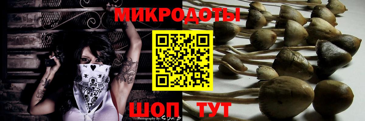 Белореченск  Псилоцибиновые грибы мухоморы  Вход с VPN 